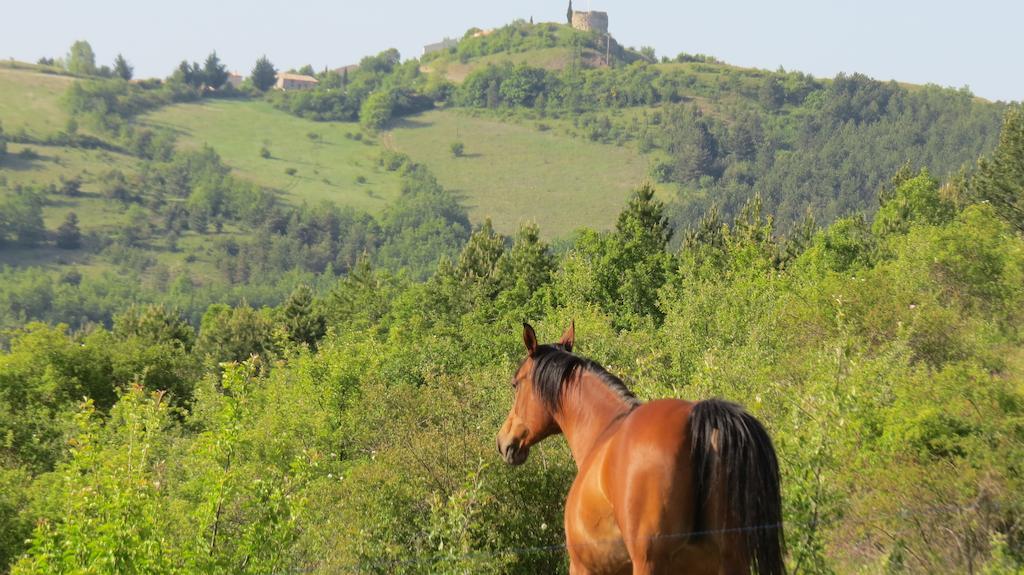 Les Gites D'Eliane Laragne Luaran gambar