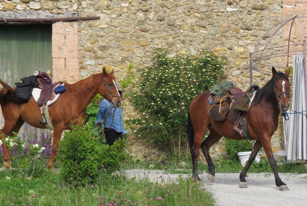 Les Gites D'Eliane Laragne Luaran gambar